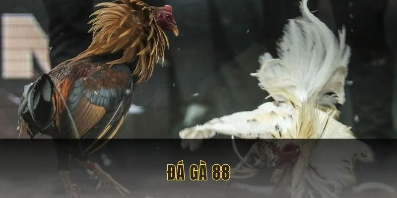 da-ga-88
