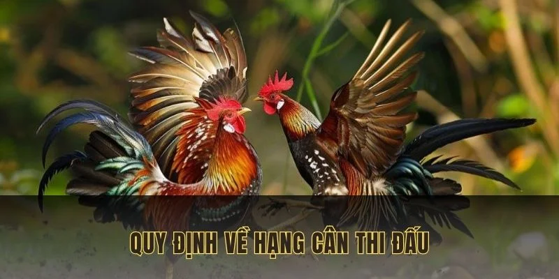da-ga-truc-tiep-quy-dinh-ve-hang-can