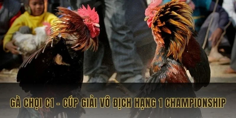 ga-choi-c1-cup-giai-vo-dich-hang-1-championship