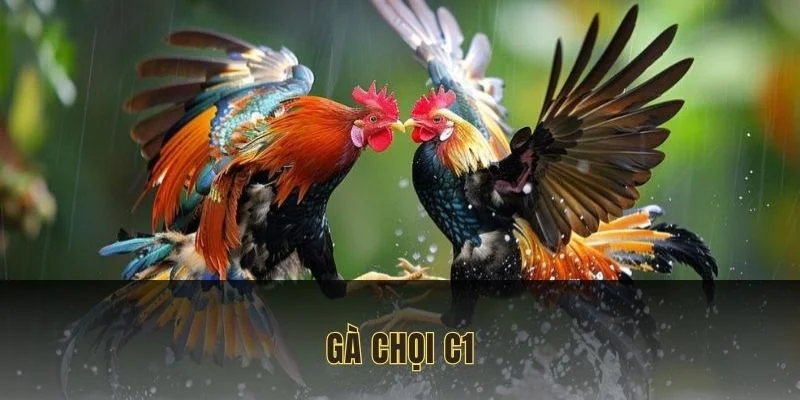 ga-choi-c1