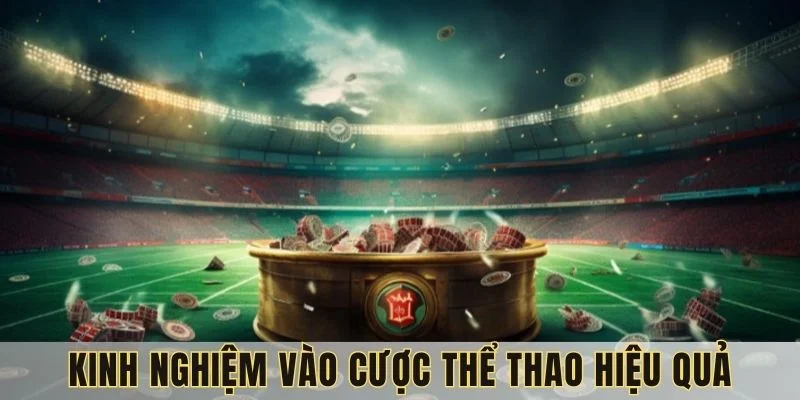 the-thao-79king-kinh-nghiem
