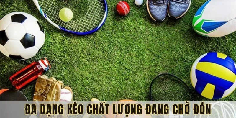 the-thao-79king-nhieu-the-loai